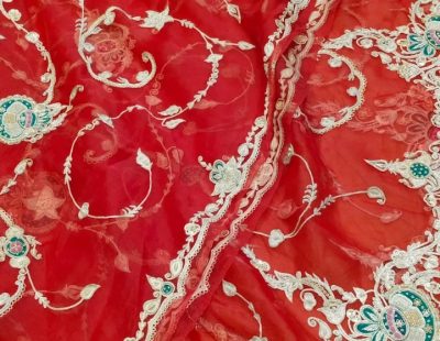 WhatsApp Image 2026-04-04 at 12.51.46 PM WhatsApp Image 2026-04-04 at 12.51.46 PM